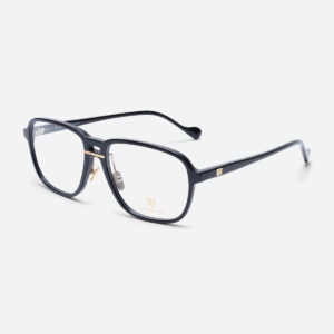 TBL 1734 eyewear frame, color 95